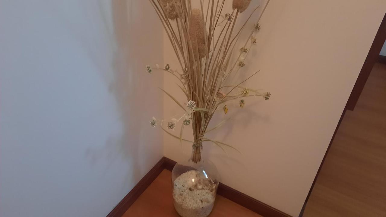 Ferienwohnung Ana Paula House Aveiro Exterior foto